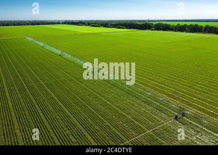 Landwirtschaftliche Bewässerung für die Bewässerung eines Maisfeldes auf einem sonnigen Sommertag Luftbild. Stockfoto