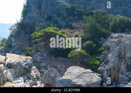 Kleine Bäume und Sträucher wachsen auf einem erodierenden Kliff in Fethiye, Türkei Stockfoto