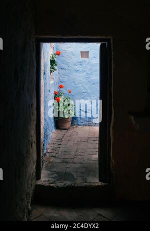 Malerische Ecke mit Blumentopf und blauer Wand im Kloster Santa Catalina in Arequipa, Peru. Stockfoto