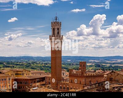 Erhöhte Sicht auf die Terrakotta-Dächer von Siena mit Torre del Mangia in der Ferne. Toskana, Italien. Stockfoto