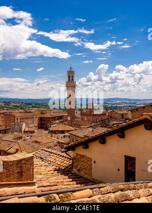 Erhöhte Sicht auf die Terrakotta-Dächer von Siena mit Torre del Mangia in der Ferne. Toskana, Italien. Stockfoto