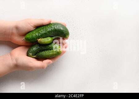 Hässliche organische abnorme Gurken in den Händen. Blick von oben. Leerzeichen für Text. Stockfoto