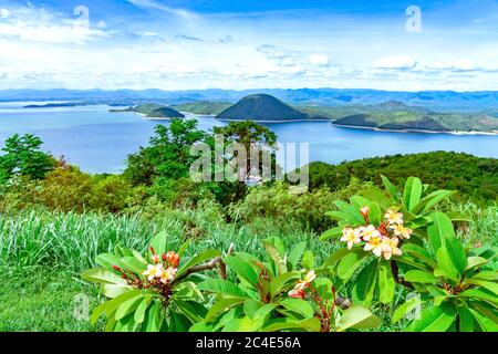 Frangipani Blume oder Plumeria Blume blüht auf Baum mit schöner Landschaft der Natur mit einem großen Stausee über dem Srinagarind Staudamm bei Rai Ya Yam Stockfoto