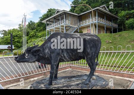 Limbang, Sarawak, Malaysia: Skulptur eines Wasserbüffels vor dem Limbang Regionalmuseum.das Museum befindet sich in einer Festung von Rajah Brooke gebaut Stockfoto