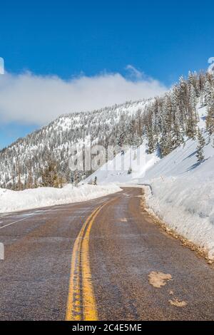 Eine Straße durch eine verschneite Utah Waldlandschaft Stockfoto