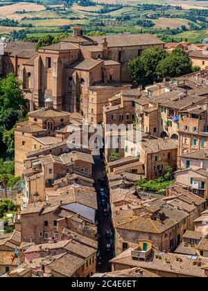 Luftaufnahme der überfüllten Grundstücke entlang einer schmalen Straße in Siena. Italien. Stockfoto