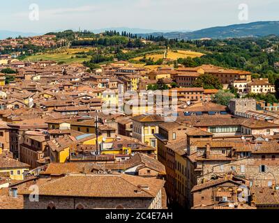 Luftaufnahme der Terrakotta-Dächer von Siena. Siena. Italien. Stockfoto