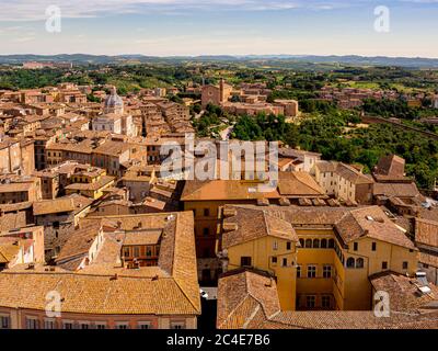 Luftaufnahme der Terrakotta-Dächer von Siena. Siena. Italien. Stockfoto