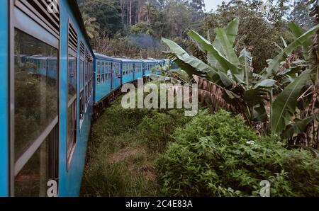 Berühmt und eine der landschaftlich schönsten Bahnstrecken der Welt - die Strecke von Ella nach Colombo. Der Zug fährt durch Dschungel, Dörfer, Tee und Kaffeepflanzen Stockfoto