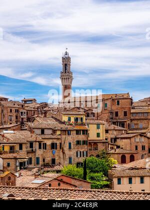 Wohngebiet von Siena mit dem Torre del Mangia im Hintergrund. Siena. Italien. Stockfoto