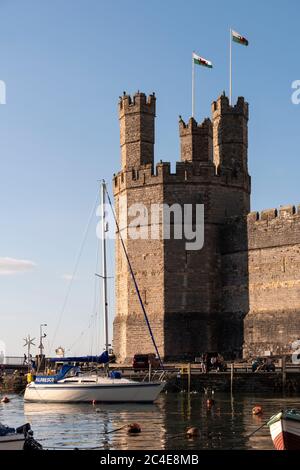 Caernarfon Castle Caernarfon Gwynedd Wales Stockfoto