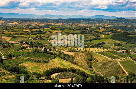 Luftaufnahme der Weinberge in San Gimignano, Toskana, Italien. Stockfoto