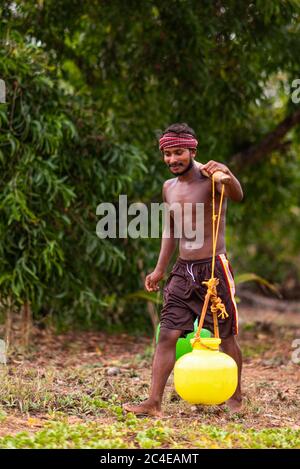 GOA, INDIEN - 14. Mai 2020: Einheimische Inder/Bauer wässern eine Kokosnussspling Plantage. Junger indischer Bauer, der Wasser für die HIS-Ernte trägt Stockfoto