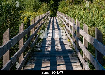 Fantastische Wanderung durch das Naturschutzgebiet Pfrunger-Burgweiler-Ried im Herbst Stockfoto