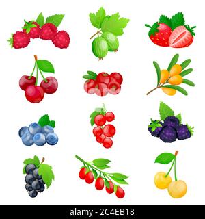 Saftige Beeren und Früchte Icon Kollektion. Vektor flach Cartoon Illustration. Frische Kirsche, Erdbeere, Preiselbeere, Brombeere, Erdbeere isoliert auf wh Stock Vektor