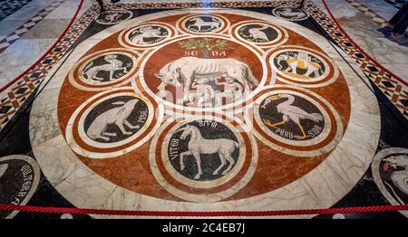 Eingelegter Marmormosaikboden der Wölfin von Siena mit den Emblemen der konföderierten Städte. Siena. Stockfoto