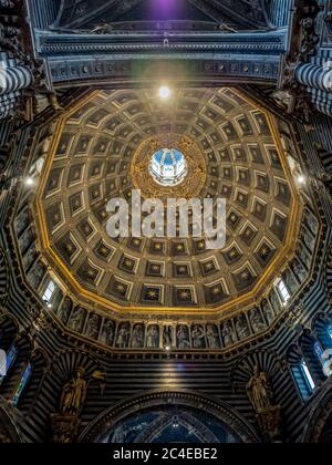 Innenkuppel mit sechseckiger Kuppel, gekrönt von Berninis goldener Sonnenlaterne. Kathedrale Von Siena. Italien. Stockfoto