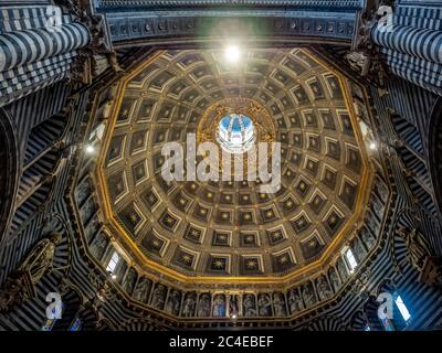 Innenkuppel mit sechseckiger Kuppel, gekrönt von Berninis goldener Sonnenlaterne. Kathedrale Von Siena. Italien. Stockfoto