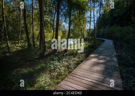 Fantastische Wanderung durch das Naturschutzgebiet Pfrunger-Burgweiler-Ried im Herbst Stockfoto