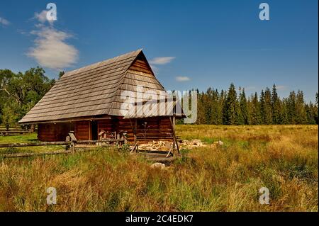 Holzhütte in den Bergen zwischen Wiesen an einem sonnigen Sommertag Stockfoto