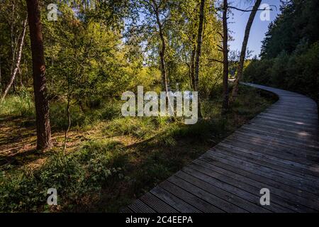 Fantastische Wanderung durch das Naturschutzgebiet Pfrunger-Burgweiler-Ried im Herbst Stockfoto