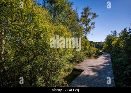 Fantastische Wanderung durch das Naturschutzgebiet Pfrunger-Burgweiler-Ried im Herbst Stockfoto