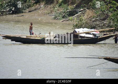 Kalkutta, Indien. Juni 2020. Das tägliche Leben auf Mehrzweck-Desi-Boot im Ganges oder Fluss Hooghly zwischen Howrah und Kolkata. (Foto von Biswarup Ganguly/Pacific Press) Quelle: Pacific Press Agency/Alamy Live News Stockfoto