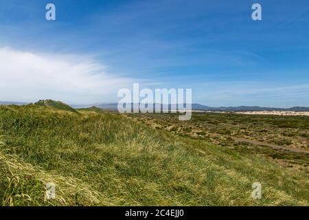 Marram Gras bedeckten Sanddünen entlang der Küste von Oregon Stockfoto