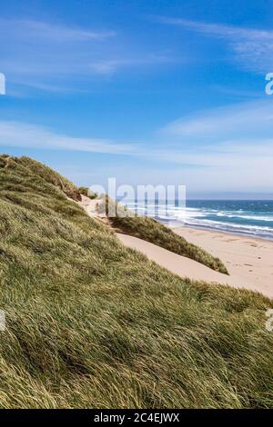 Blick über Sanddünen und den Strand zum Meer, an der Küste von Oregon Stockfoto