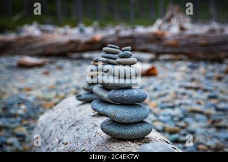 Zen rockt auf einem umgestürzten Baumstamm, am Ruby Beach im Bundesstaat Washington Stockfoto