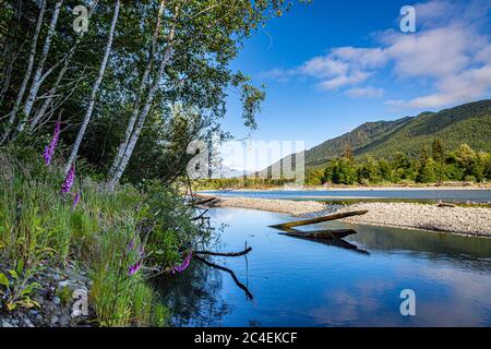 Blick über den Hoh River im Olympic National Park im Bundesstaat Washington Stockfoto