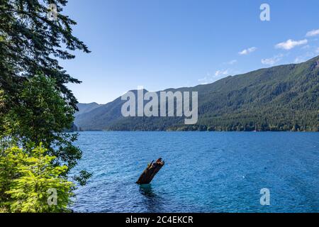 Blick über den Lake Crescent im Olympic National Park, an einem sonnigen Sommertag Stockfoto