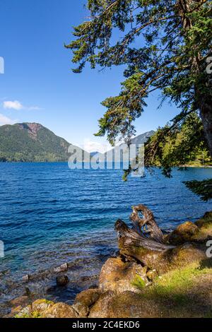 Blick über den Lake Crescent im Olympic National Park, an einem sonnigen Sommertag Stockfoto