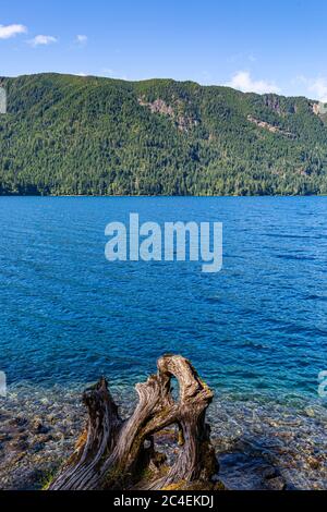 Blick über den Lake Crescent im Olympic National Park an einem Sommertag Stockfoto