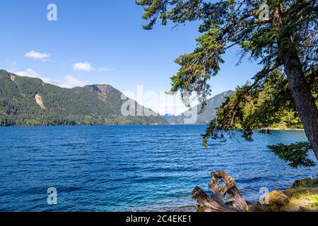 Blick über den Lake Crescent im Olympic National Park, an einem sonnigen Sommertag Stockfoto