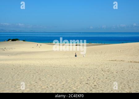 Die Sanddünen im Parque Natural de Corralejo Corralejo Fuerteventura Kanarische Inseln Spanien Stockfoto