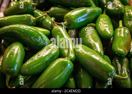 Ein Foto mit vollem Rahmen von grünen Chilischoten, die auf einem Marktstand zum Verkauf stehen Stockfoto