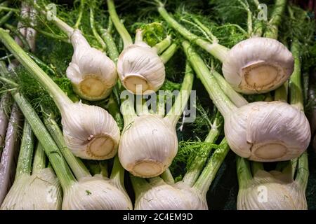 Ganze Fenchelbirnen zum Verkauf auf einem Marktstand Stockfoto