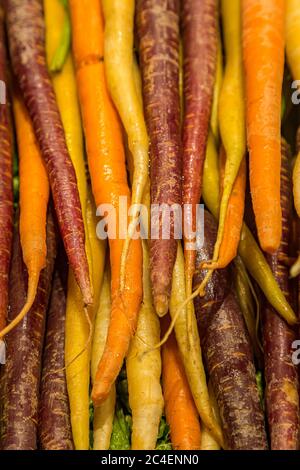 Bunte Regenbogen Karotten zum Verkauf auf einem Marktstand Stockfoto