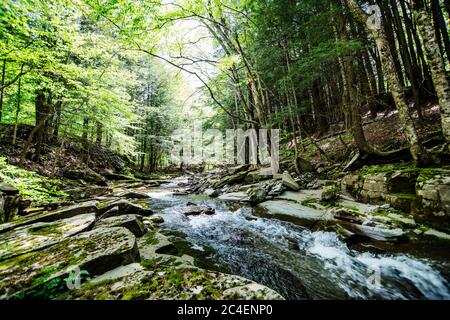 Fluss, der durch den Wald in den Catskill Mountains, Bundesstaat New York, fließt Stockfoto