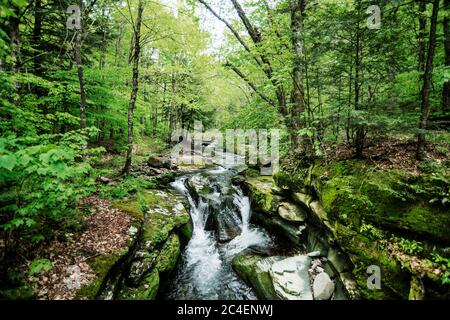 Fluss, der durch den Wald in den Catskill Mountains, Bundesstaat New York, fließt Stockfoto