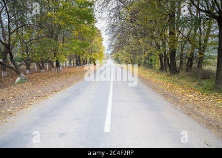 Weg zu einem langen Weg. Die zentrale Zusammensetzung der Straße zwischen Bäumen. Stockfoto