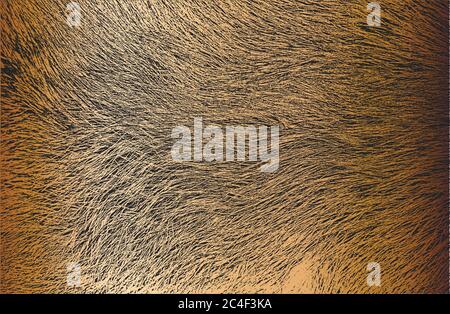 Distressed Overlay Textur von goldenem Naturfell, Grunge Vektor Hintergrund. Abstrakte Halbton Vektor Illustration Stock Vektor