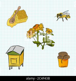 Imkereizeichentrickfilme. Honigwabe mit Holzlöffel, Biene, Sonnenblumen, ein Glas Honig und Bienenstock. Vektorgrafik. Stock Vektor