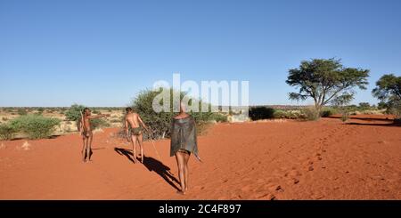 KALAHARI, NAMIBIA - 24. JAN 2016: Buschmänner-Jäger im Busch. Die San, auch Buschmänner genannt, sind Mitglieder verschiedener einheimischer Jäger und Sammler Stockfoto