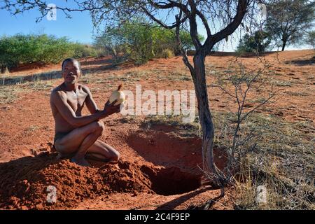 KALAHARI, NAMIBIA - 24. JAN 2016: Buschmänner-Jäger nimmt ein Straußenei mit Wasser. San, auch Buschmänner genannt, sind Mitglieder verschiedener indigener Völker Stockfoto