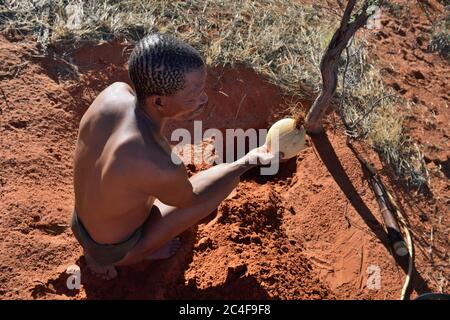 KALAHARI, NAMIBIA - 24. JAN 2016: Buschmänner-Jäger nimmt ein Straußenei mit Wasser. San, auch Buschmänner genannt, sind Mitglieder verschiedener indigener Völker Stockfoto