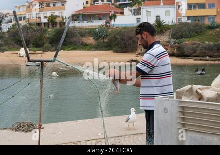 Fiisherman im Hafen, der Fische aus seinem Netz entfernt, Ferragudo an der Algarve, Portugal Stockfoto