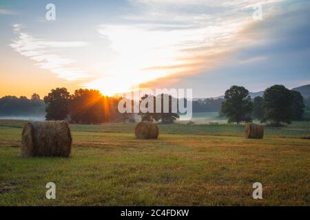 Heuballen rollten auf dem Feld bei Sonnenaufgang mit Nebel schafft erstaunliche Himmel im Frühsommer Sussex County NJ Stockfoto