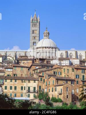 Blick auf die Altstadt und den Dom von Siena (Kathedrale von Siena), Siena (Siena), Provinz Siena, Toskana Region, Italien Stockfoto